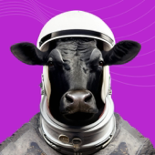 The Beef Nutrition Blackbelt Podcast
