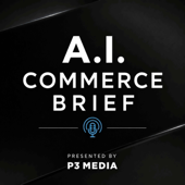 AI Commerce Brief