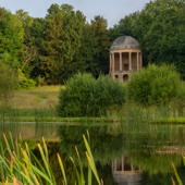 A Walk Around the Lake With...
