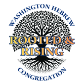 Rooted and Rising: Sermons from Washington Hebrew Congregation