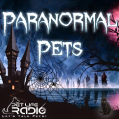 Paranormal Pets - Ghostly Encounters with Past Pets - Pets & Animals on Pet Life Radio