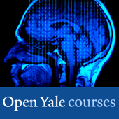 Psychology - Video
