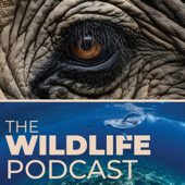 The First WildLife Podcast with Founder Laurel Neme