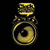 Clock Radio Speakers