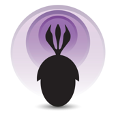 Palaeocast