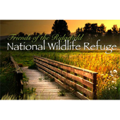 Ridgefield National Wildlife Refuge Auto Tour - Ridgefield, WA