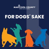 For Dogs' Sake: Maricopa County Animal Care and Control