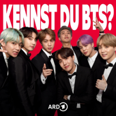 Kennst du BTS? Eine Band aus Korea verändert die Welt