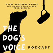 The Dog’s Voice