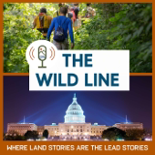 The Wild Line