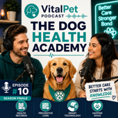 VitalPet Podcast: The Dog & Cat Health Academy