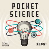 Pocket Science