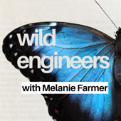 Wild engineers