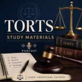 1L Torts Casebook Study Materials