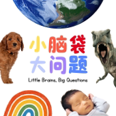 小脑袋，大问题 • Little Brains, Big Questions