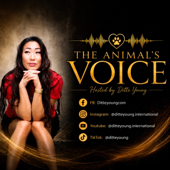 The Animals Voice