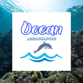 The AICE Ocean Brief