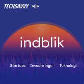 TechSavvy Indblik