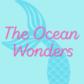 The Ocean Wonders
