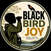 Black Bird Joy: Conversations in Nature