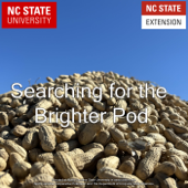 Searching for the Brighter Pod