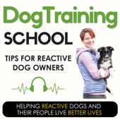 Dog Training School: Tips for Reactive Dog Owners