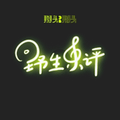 野生乐评