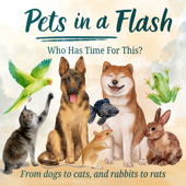Pets in a Flash - Who Has Time for This?