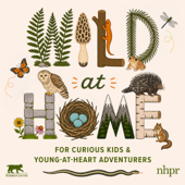 Wild at Home