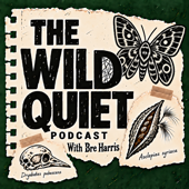 The Wild Quiet