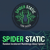Spider Static