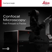 Confocal Microscopy: From Principles to Practice