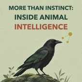 Inside Animal Intelligence