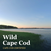 Wild Cape Cod