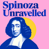 Spinoza Unravelled
