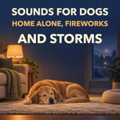 Sounds for Dogs: Home Alone, Fireworks and Storms