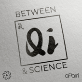Between Qi and Science: My Experience of What Can't Be Measured