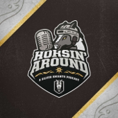 Horsin' Around: A Silver Knights' Podcast