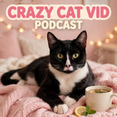 Crazy Cat Vid Podcast