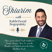 Boca Jewish Center: Shiurim with Rabbi Dovid Bogopulsky